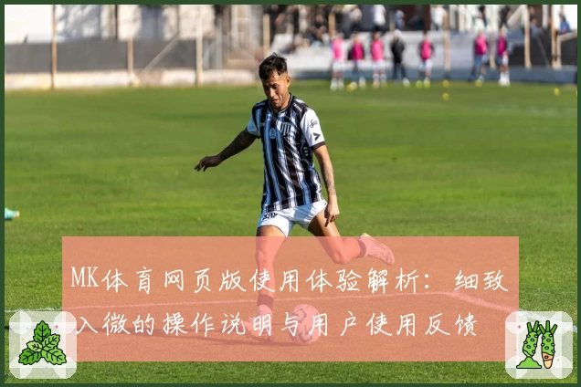 MK体育网页版使用体验解析：细致入微的操作说明与用户使用反馈